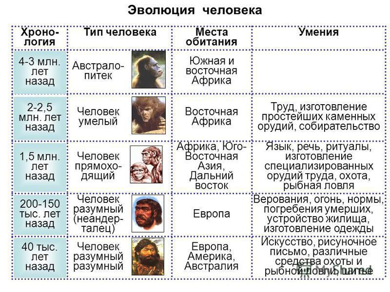 картинка разумный человек онлайн