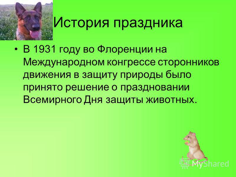 Сценарий о дне защиты животных Сценарий о дне защиты животных