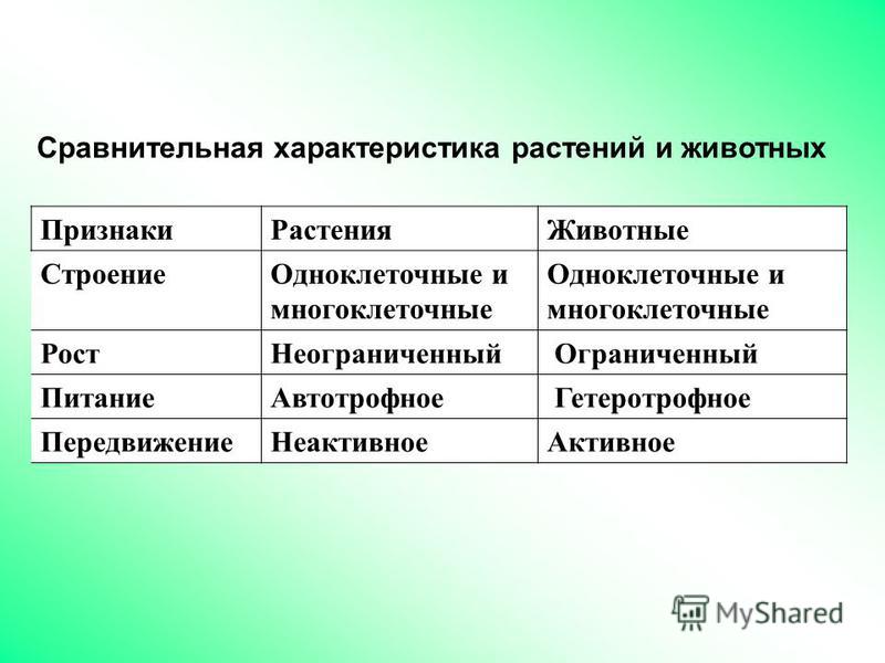 Конспект урока биологии 7 класс общая характеристика царства животных