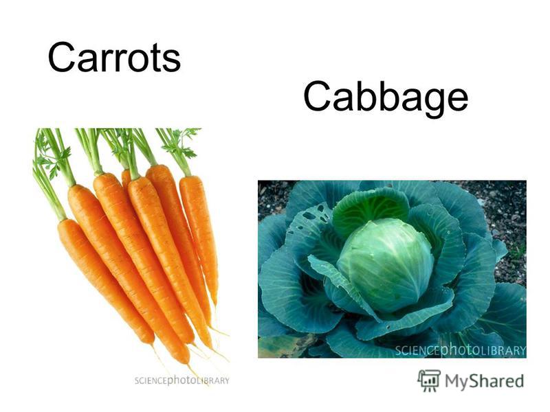 Carrots Cabbage
