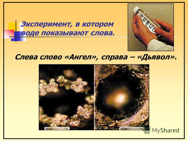 Это как вирус афоризмы Это как вирус афоризмы