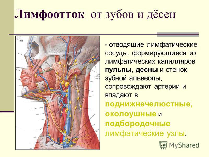 Как сделать своими руками цветок из ткани Коммерческих отношений - Перевод на английский - примеры