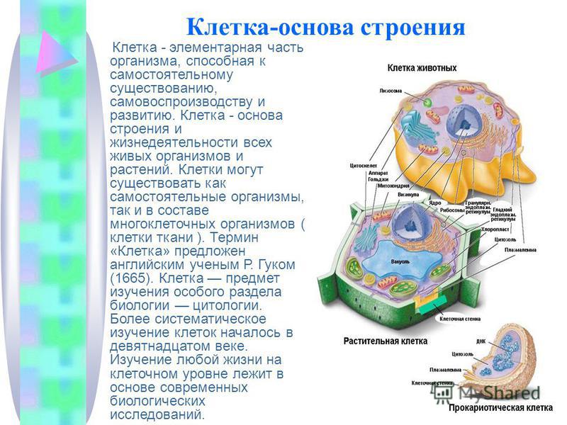 Учебник окружающий мир 4 класс дмитриева читать