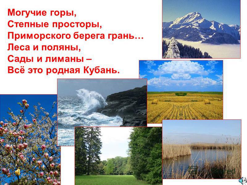 Могучие горы, Степные просторы, Приморского берега грань… Леса и поляны, Сады и лиманы – Всё это родная Кубань.