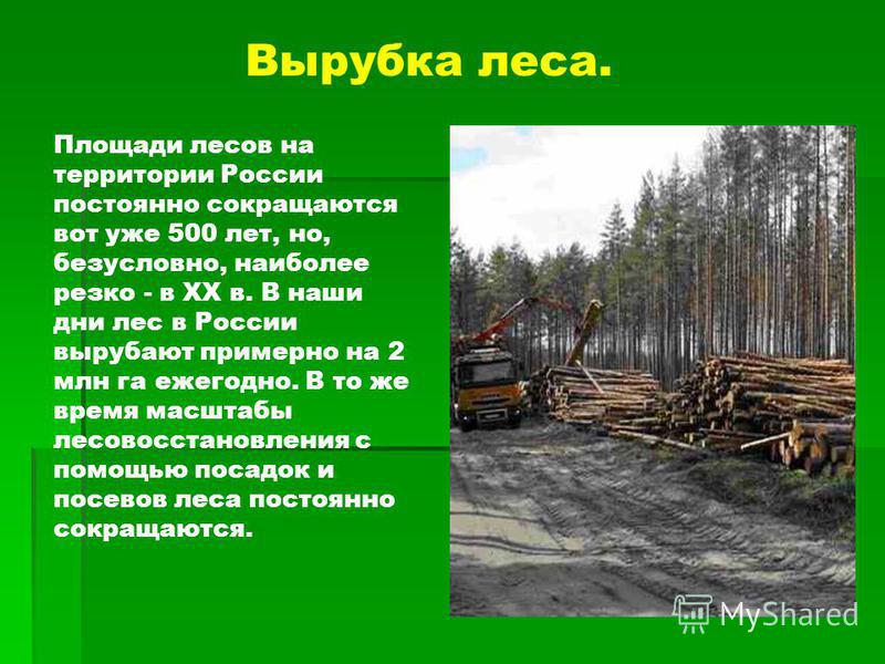 Проект вырубка лесов как глобальная проблема