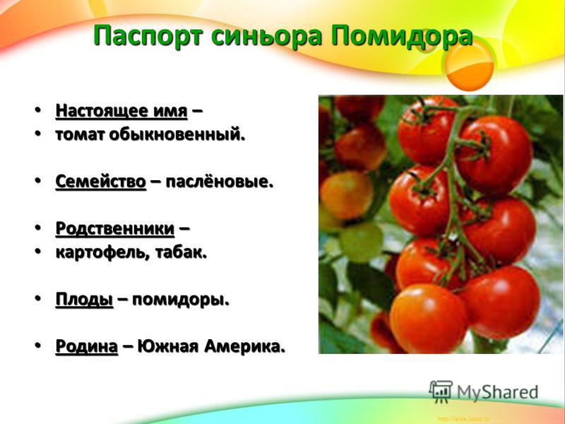 [PUNIQRANDLINE-(au-dating-names.txt) 47 Доклад по биологии томаты 6444