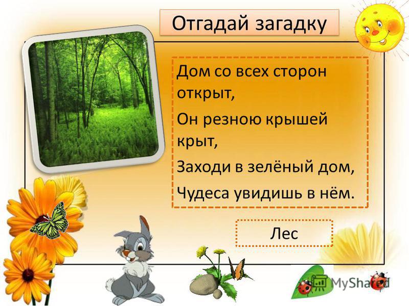 Дом Загадка Для Детей