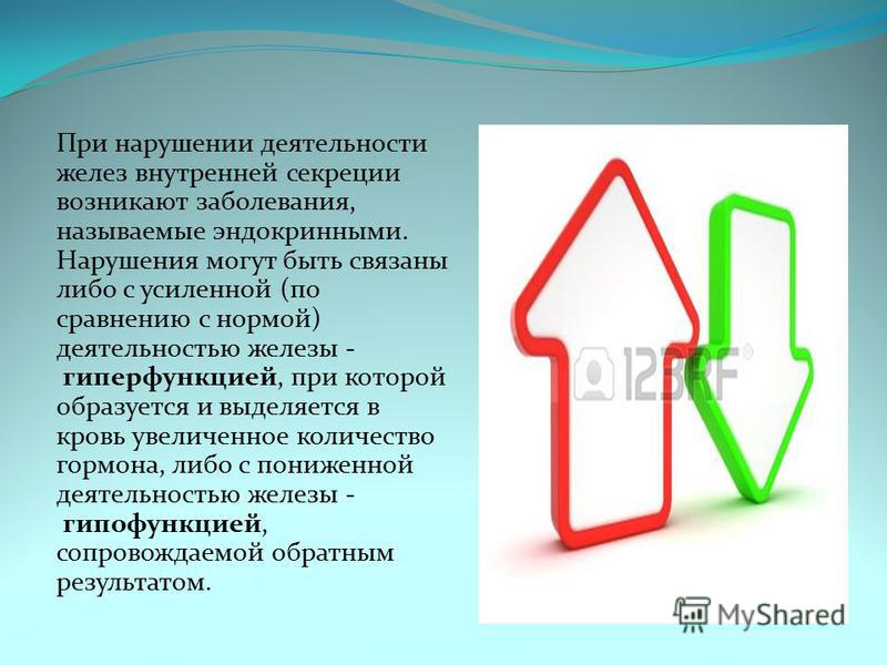 С кем можно вязать британскую лиловую кошку С кем можно вязать британскую лиловую кошку