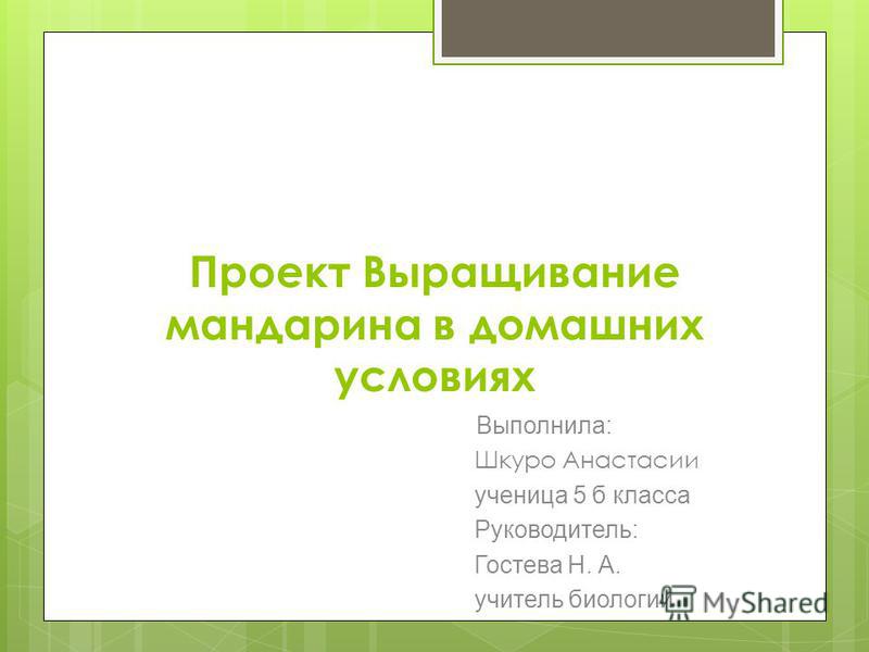 Проект в домашних условиях 463