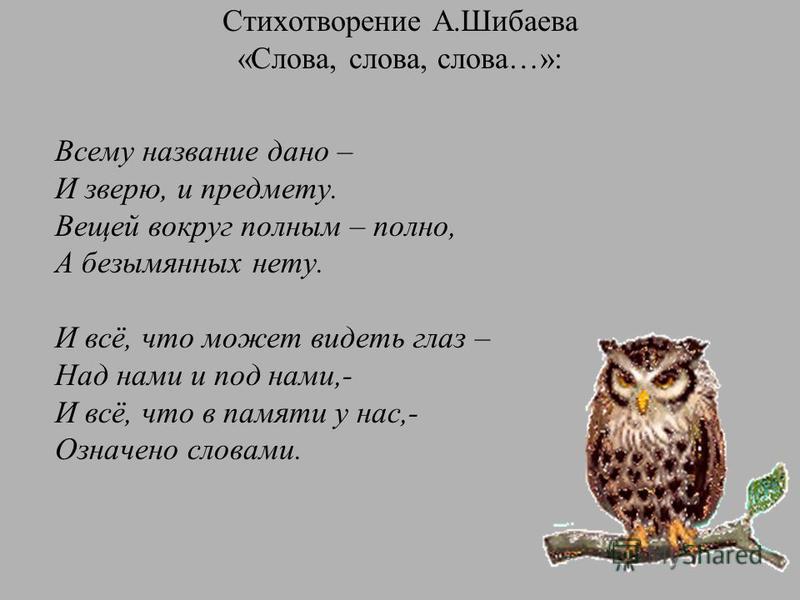 Стих про слово what Стих про слово what