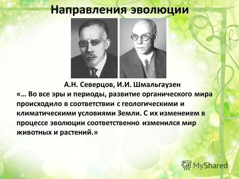 Основные направления эволюции биологический прогресс