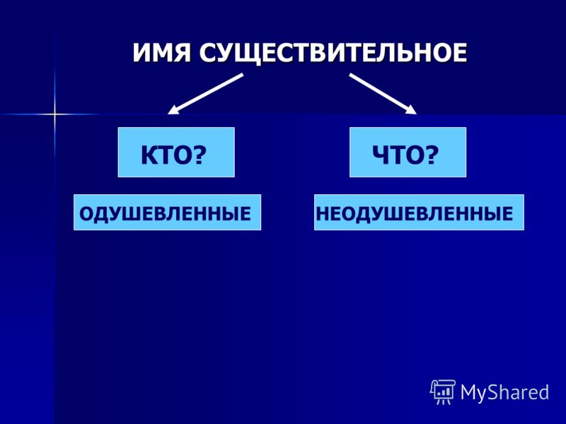 Кровеносная система биология 7 класс