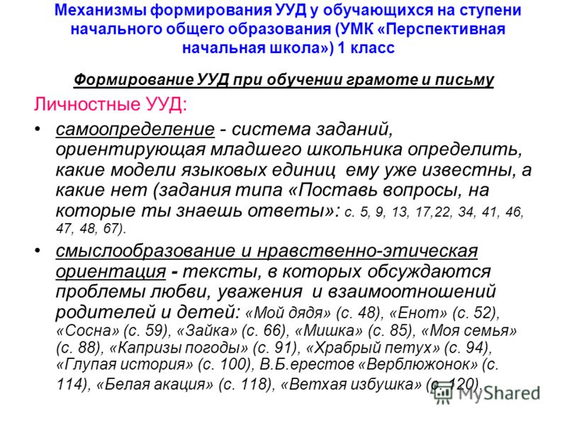 Презентация На Тему Енот Презентация На Тему Енот