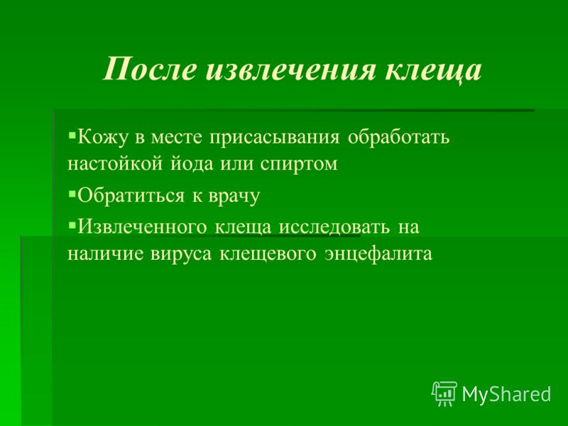 Почему возникает слабость после еды? Когда болит живот. Острая боль внизу живота