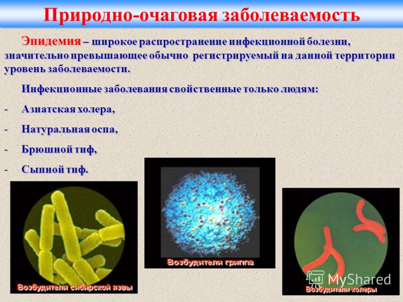 Боль в почках и температура 37
