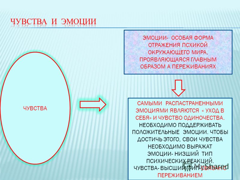Лендинг редактор 8 класс Лендинг редактор 8 класс