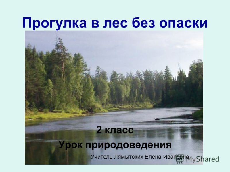 Фильм Прогулка смотреть онлайн бесплатно в хорошем качестве