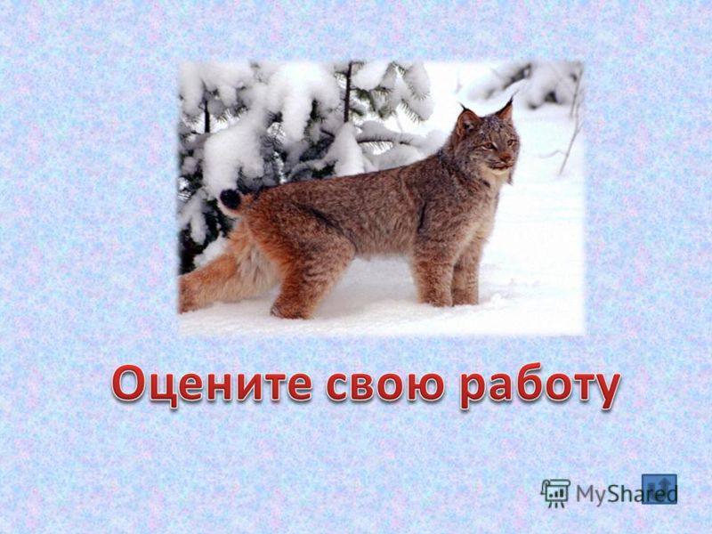 Перспективное планирование в подготовительной группе по фгт веракса: Все релизы 2014 года Ктематическое планирование воспитателя группы продлённого дня