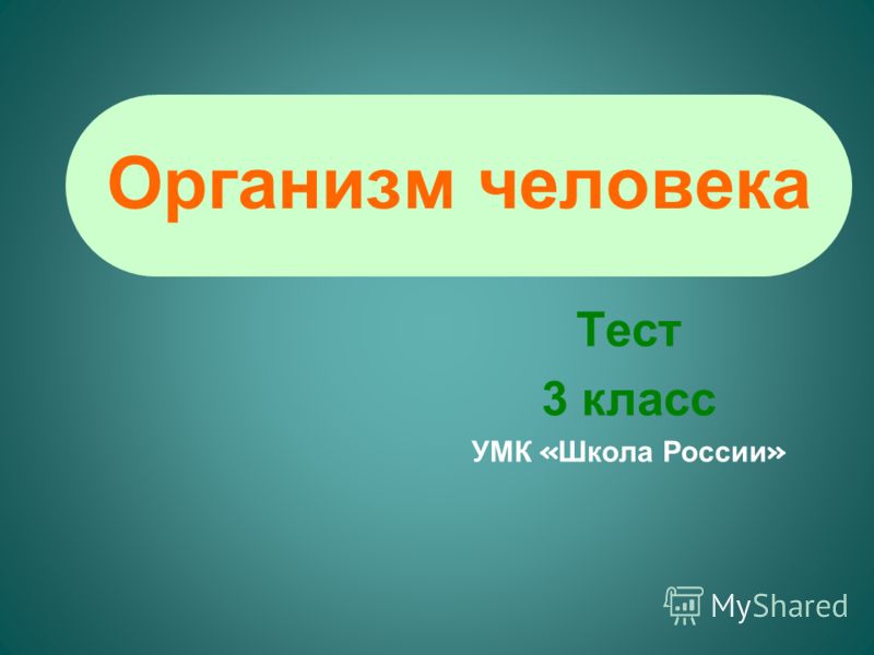 организм человека без паразитов организм человека без паразитов