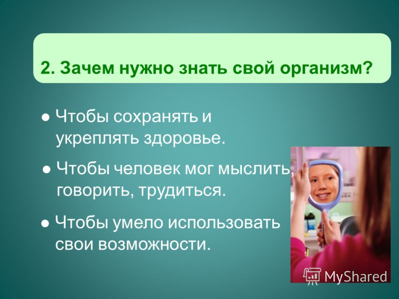 организм человека без паразитов организм человека без паразитов