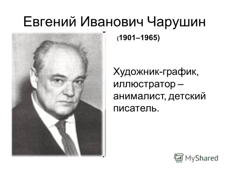 Рабочая программа воспитателя детского сада по фгт средняя группа