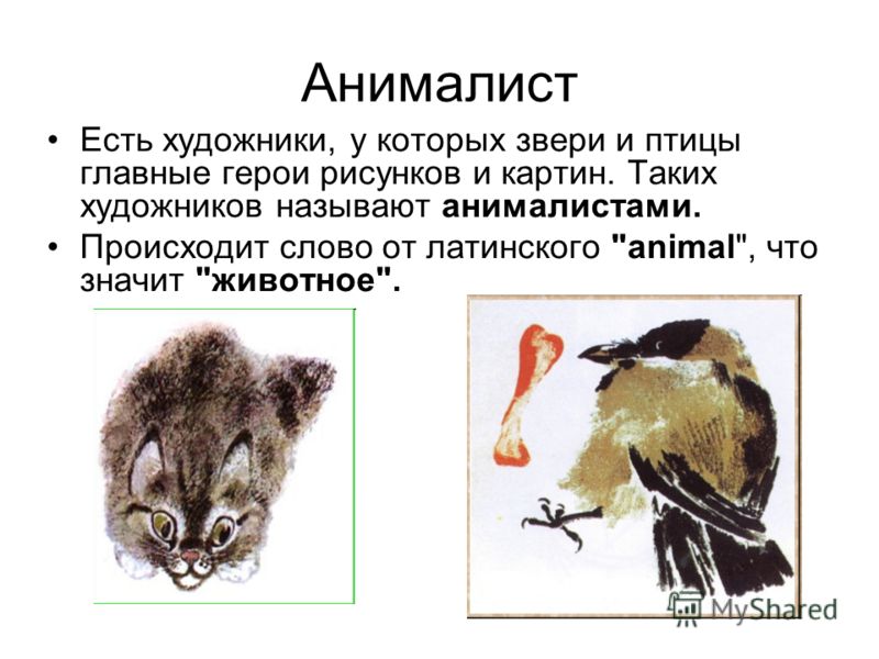 Рисунки карандашом животное на руках Рисунки карандашом животное на руках