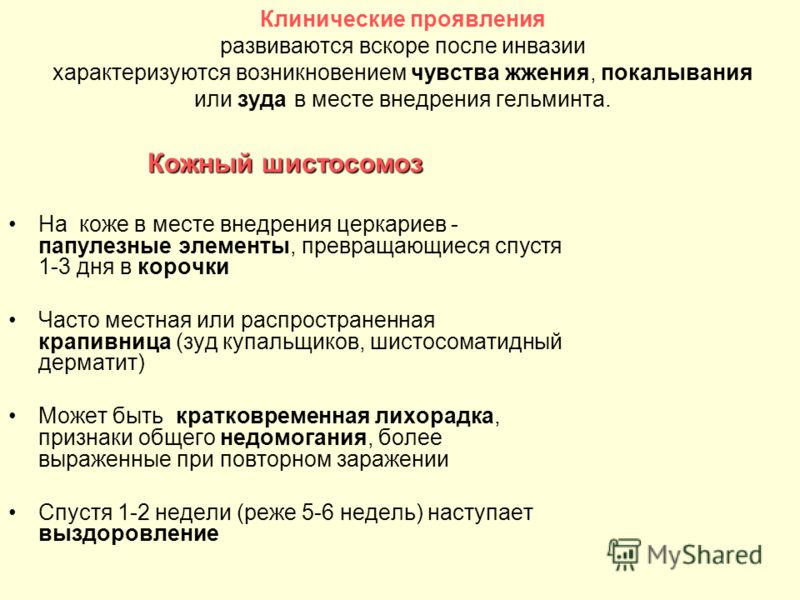зуд от гельминтов зуд от гельминтов