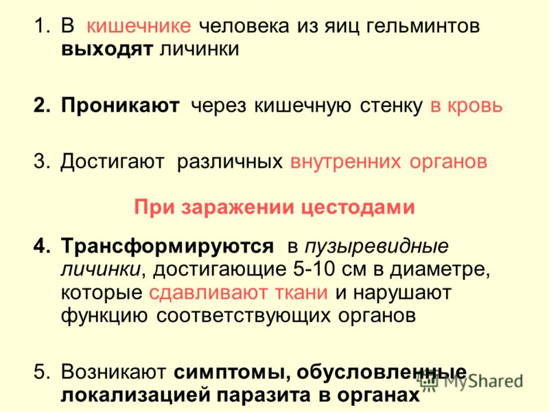Лечение глистов во время беременности форум
