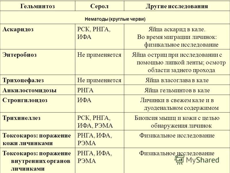 выходят глисты человека фото выходят глисты человека фото