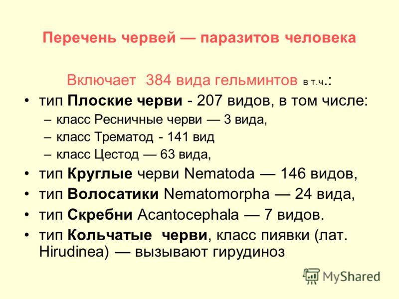 перечень паразитов в организме человека перечень паразитов в организме человека