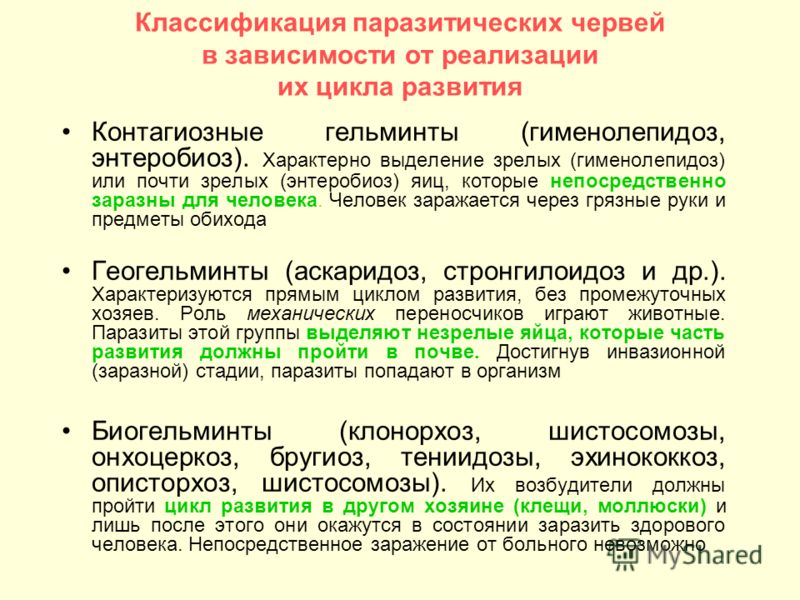 кишечные паразиты у человека лечение препараты кишечные паразиты у человека лечение препараты