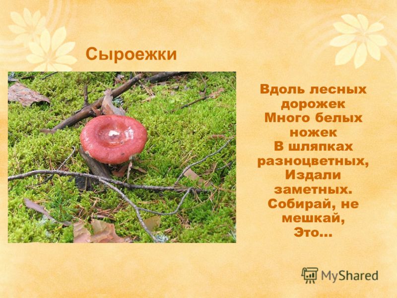 Изготовление будки для собак Изготовление будки для собак