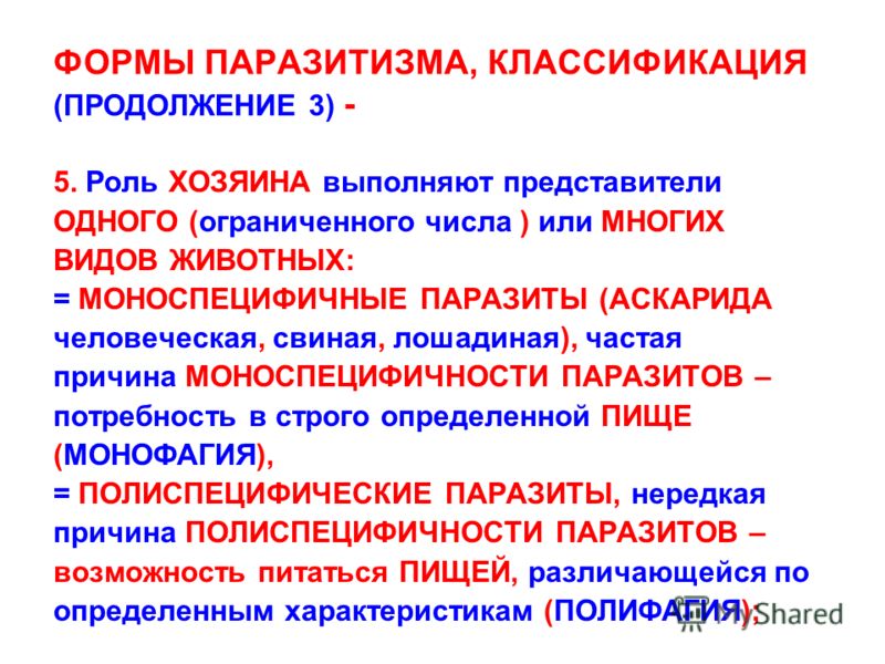 роль паразитов в природе и жизни человека роль паразитов в природе и жизни человека