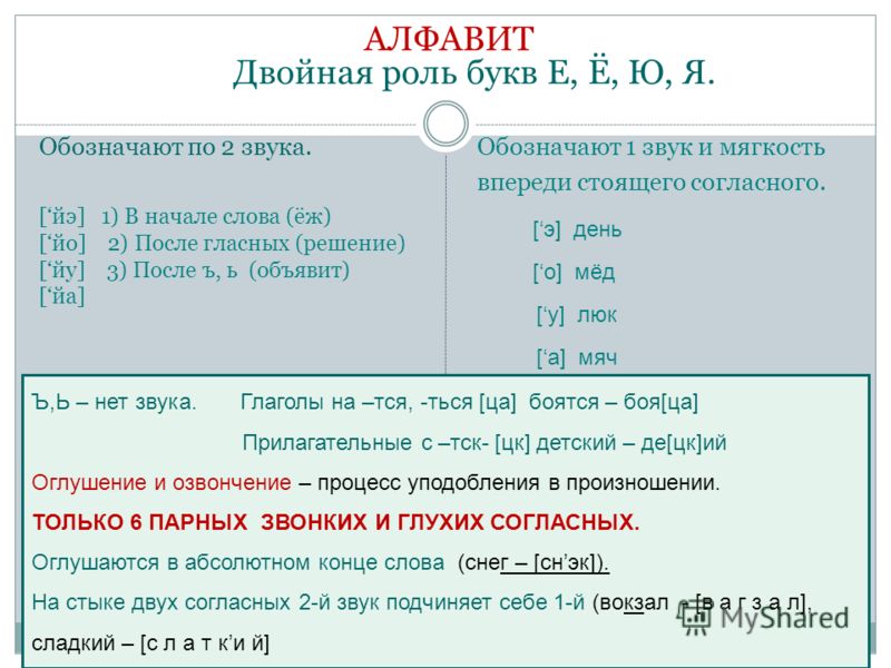 звуковая схема слова ёж