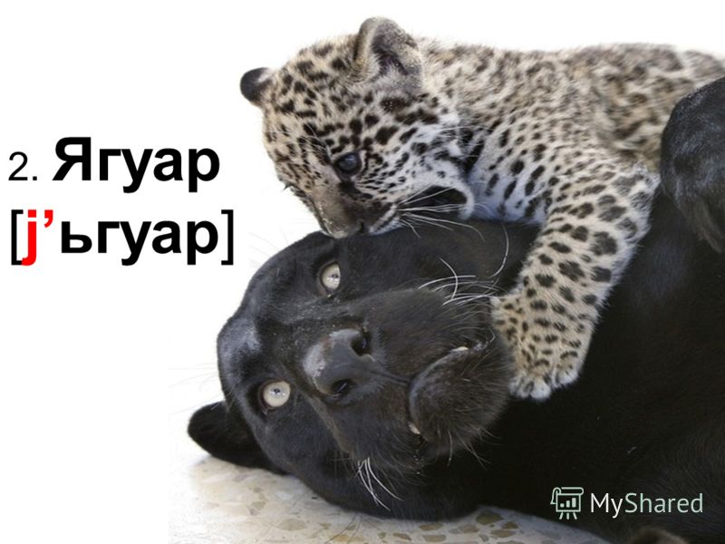 Программа по декоративно прикладному искусству для нач классов с диагностикой