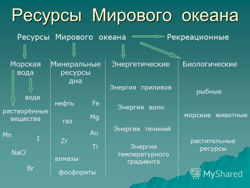 Примеры Рекреационных Ресурсов Мира