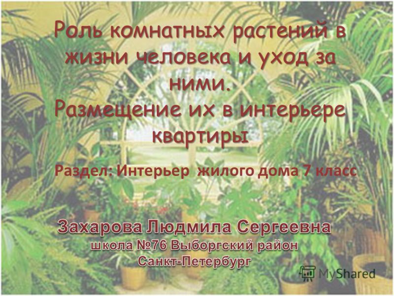 Технология 6 класс комнатные растения в интерьере Технология 6 класс комнатные растения в интерьере