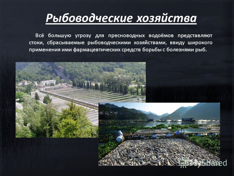 Презентации по окружающему миру 2 класс: Все релизы 2014 года Презентация латинская америка 11 класс