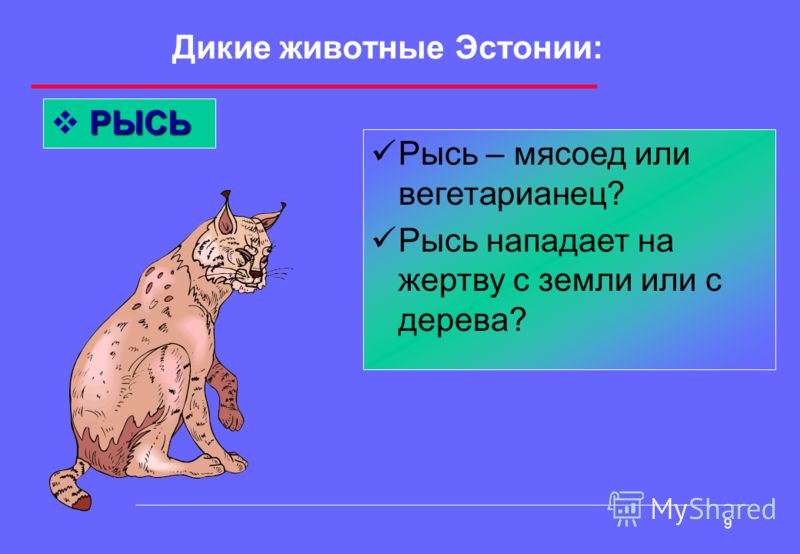Смотреть фильмы робин гуд сериал