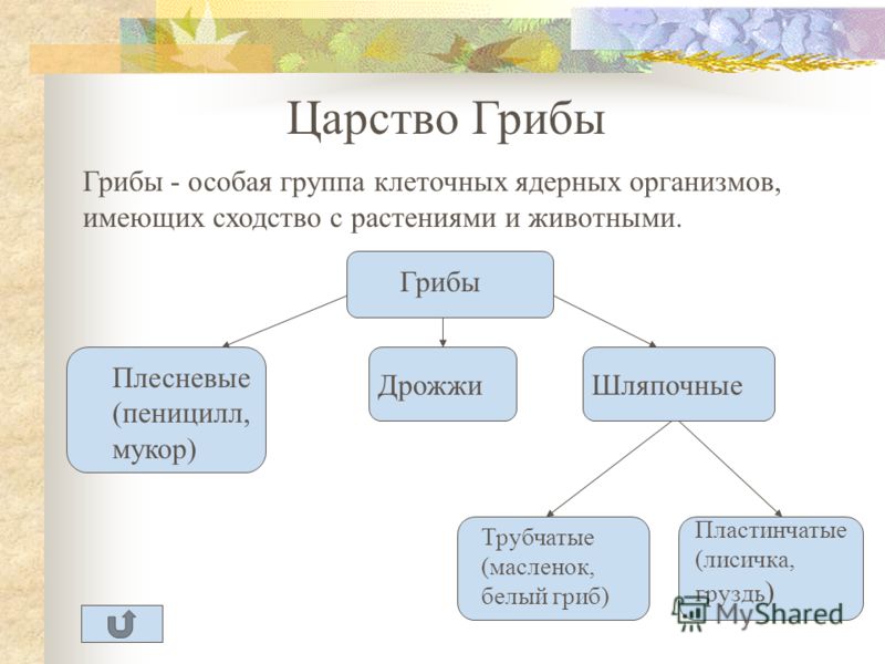 Умк пнш рабочие программы 3 класс