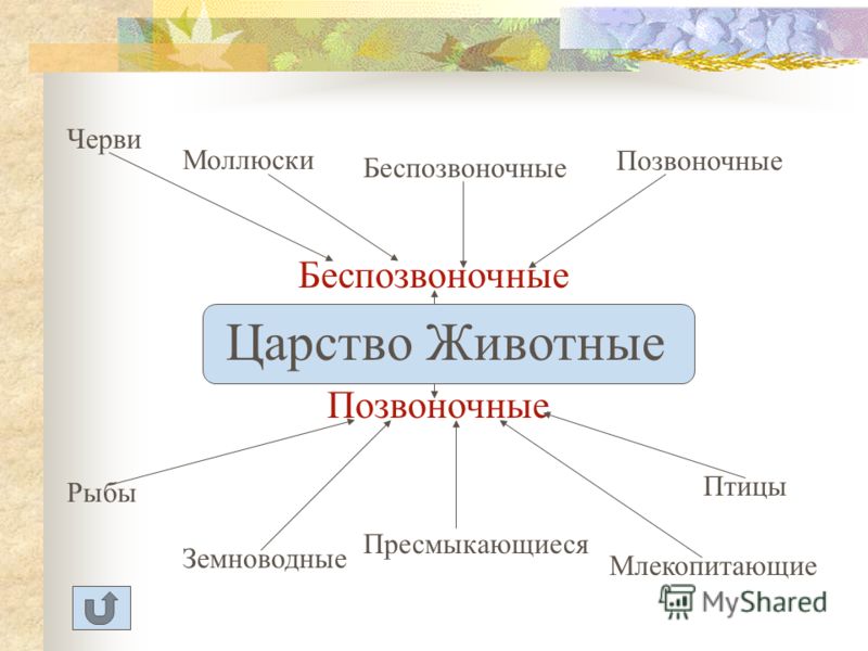 Самопрезентация о себе кратко и красиво