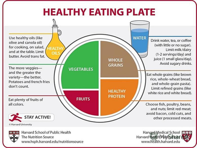 nutritional value of food products essay nutritional value of food products essay