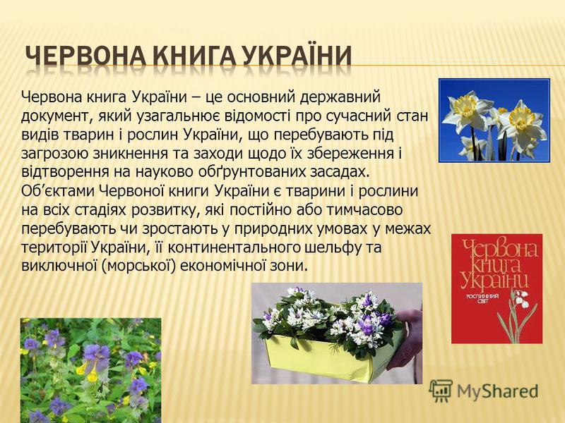 Червона книга україни презентація скачать бесплатно