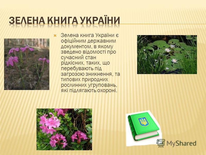 Презентація на тему зелена книга україни скачать