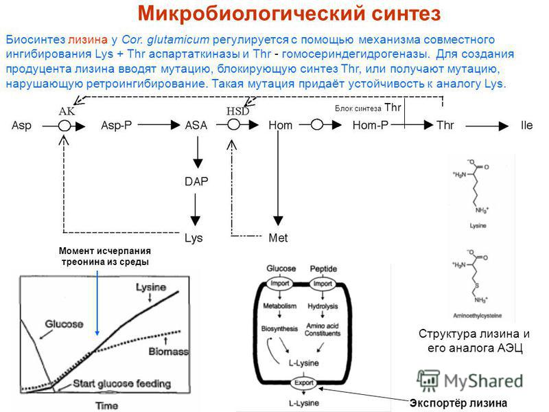 Секрет и посев секрета Секрет и посев секрета
