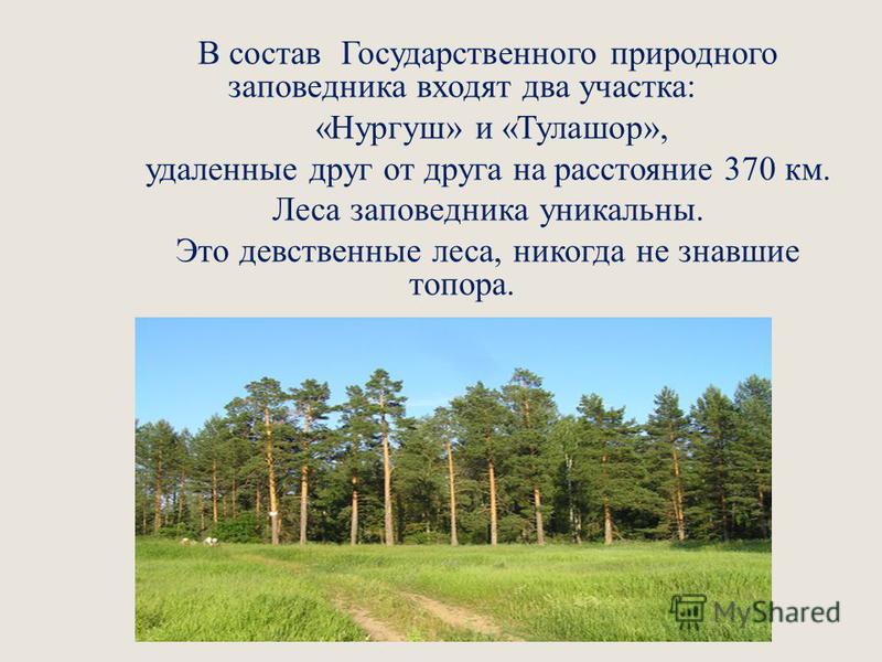 Книга леса кировской области скачать