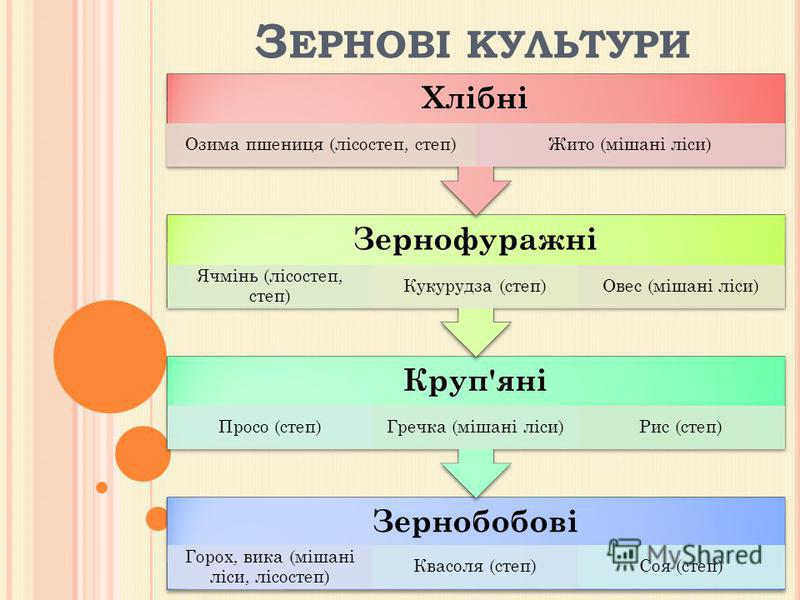 Зернові Зернобобові Культури Реферат Зернові Зернобобові Культури Реферат