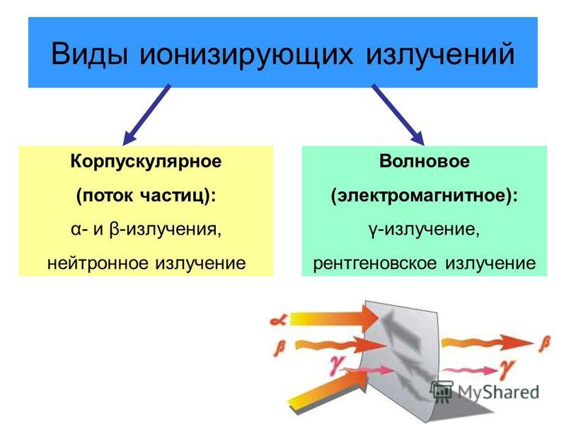 Контрольная работа: Формы трудовой деятельности Нормирование ионизирующего излучения