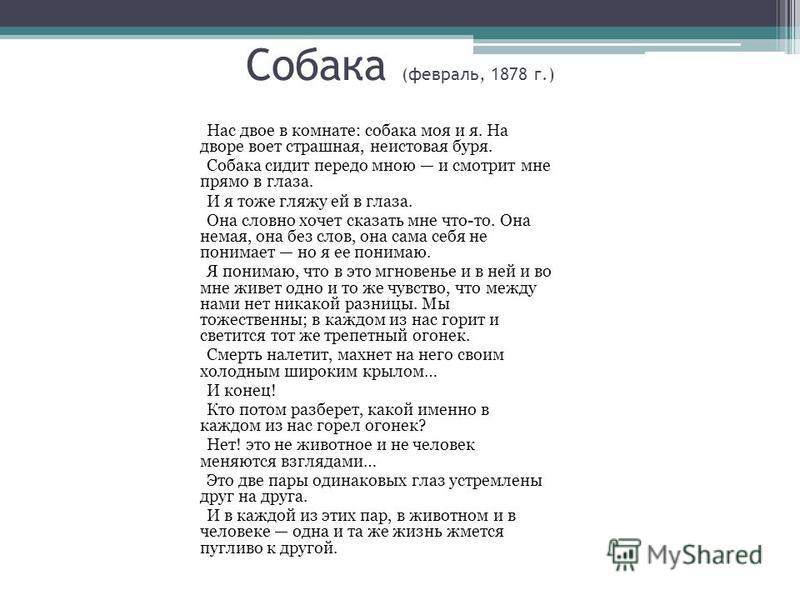 Стихи в прозе о собаках Стихи в прозе о собаках