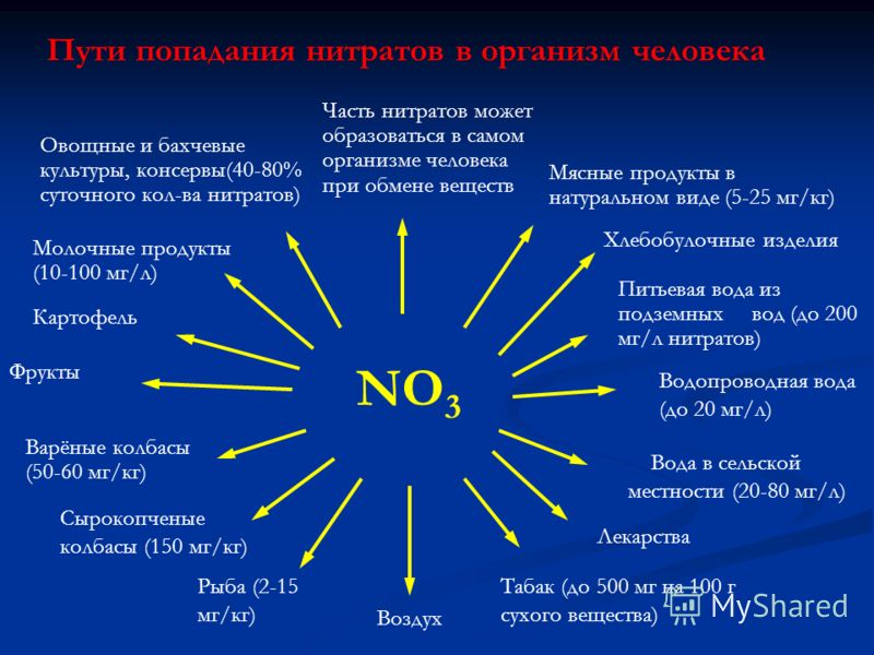 Картофель Овощные и бахчевые культуры, консервы(40-80% суточного кол-ва нитратов) Фрукты Хлебобулочные 
		<!--